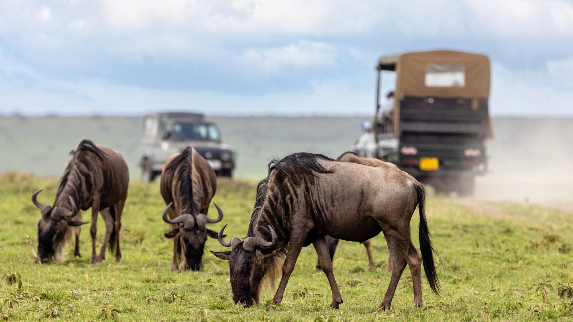 Masai Mara