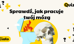 Prawa czy lewa półkula? Ten quiz powie, jak pracuje twój mózg