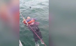 Była zaginiona od dwóch lat. Odnaleziono ją na dryfującą na morzu w pobliżu Kolumbii [WIDEO]