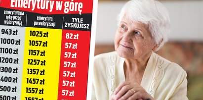 Seniorze, sprawdź swoją emeryturę