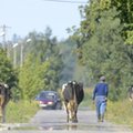 Eksperci: zmiany cen w 2018 r. niekorzystne dla rolników
