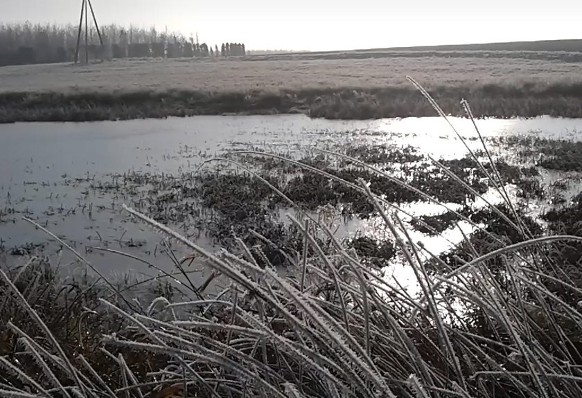 Mroźny poranek na Kaszubach