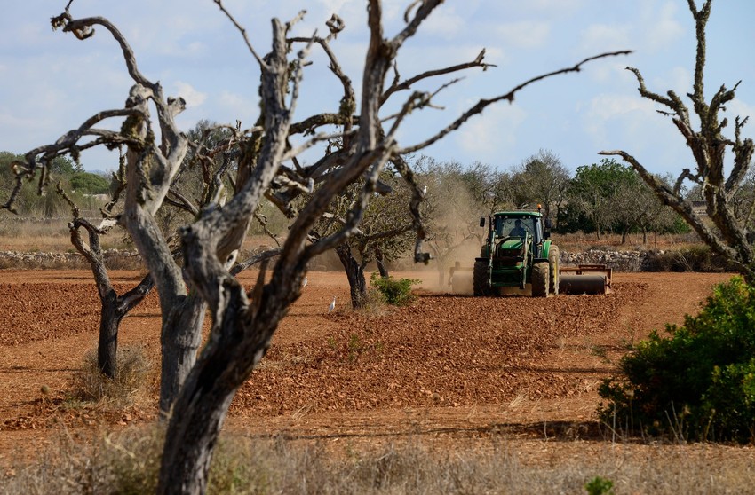 Poljoprivrednici su već počeli da javljaju da su im usevi totalno uništeni