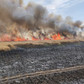 Ogień ogarnął już 100 hektarów pól
