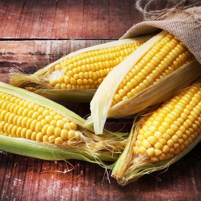 Kukurydza - występowanie, wartości odżywcze, propozycje podania