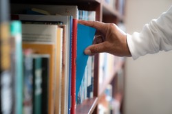 Czytelnicy wybrali najlepsze książki 2026 r. Pisarze i pisarki uwielbiani przez Polaków