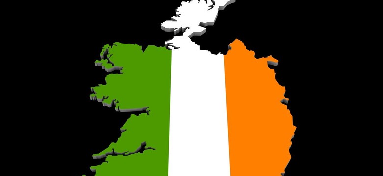 Irlandzcy rolnicy spekulowali w Polsce