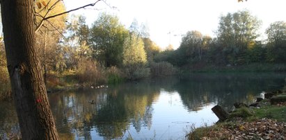 Zrobią park przy Piekarniczej