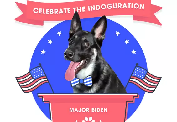 Największe psie Zoom party Majora Bidena odbędzie się, aby wesprzeć jego byłe schronisko