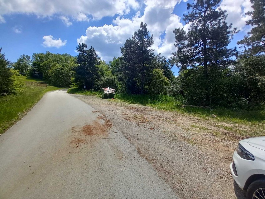 Mesto gde su ubijeni psi u Čačku