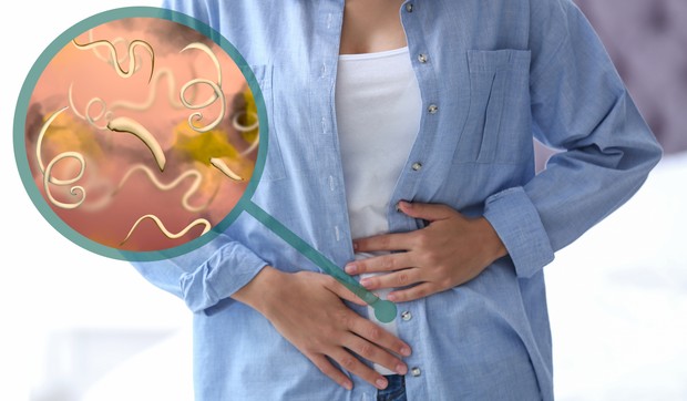 Pantljičara je pljosnata, parazitska glista koja živi u crevima životinja