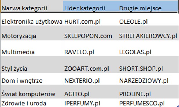 Liderzy sprzdaży w poszczególnych kategoriach