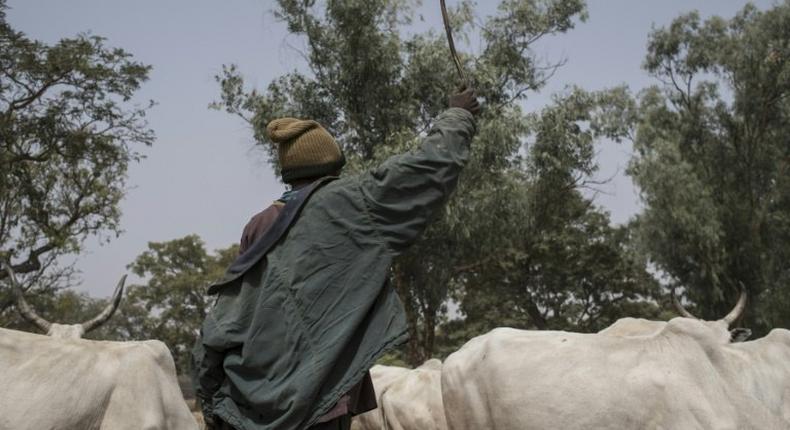 Police arraign 4 men for allegedly stealing four cows from Lagos market. [BBC]