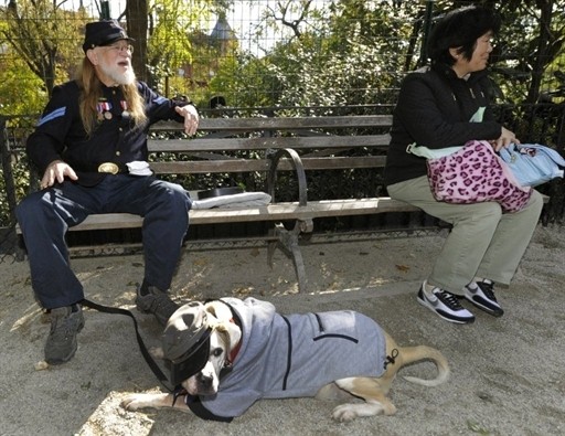 HALLOWEEN DOG PARADE US