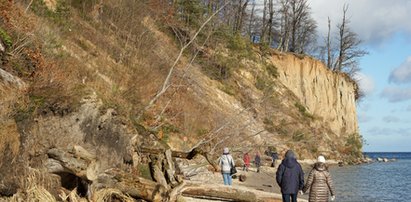 Przykry widok nad Bałtykiem w Gdyni. Mieszkańcy i turyści przecierają oczy ze zdumienia