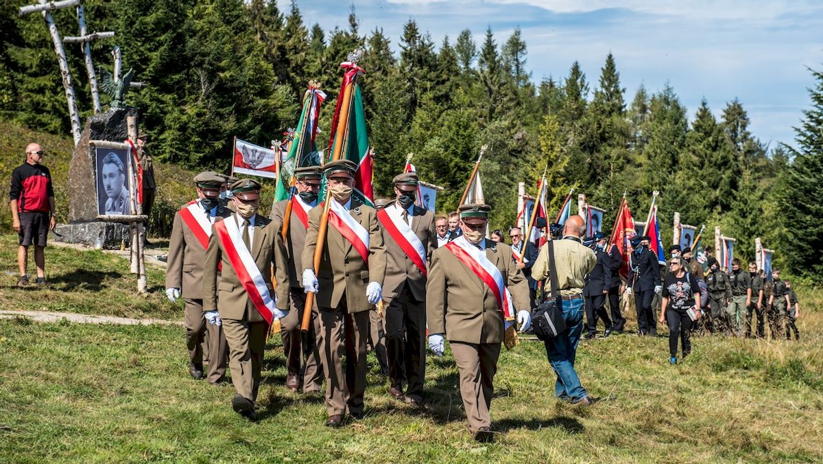 Tajemnice Lasów Państwowych. Zamiast kontroli dalsze naciski