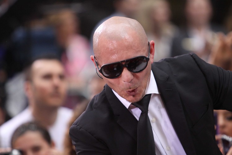 Pitbull (9.5 mln$)<br />