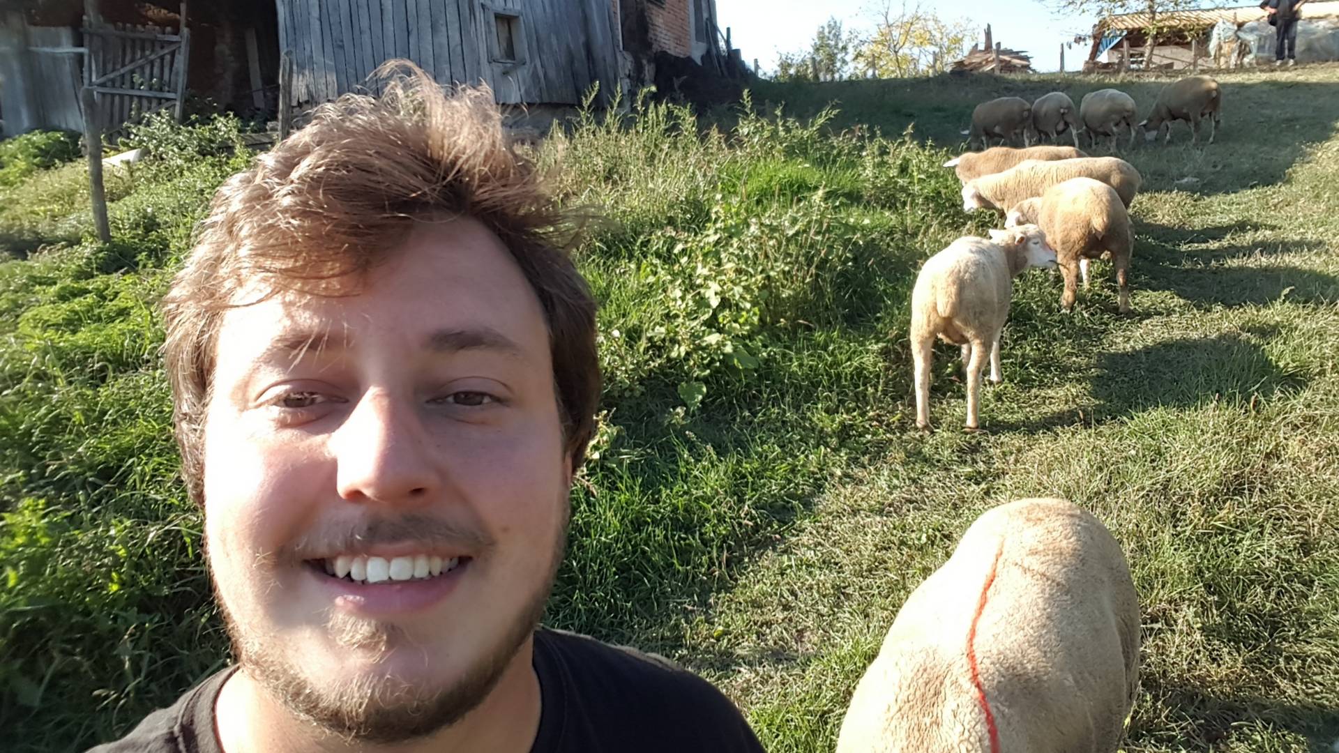 Život jedne mlade osobe na selu u Zapadnoj Srbiji: Čuvanje ovaca i rad preko interneta