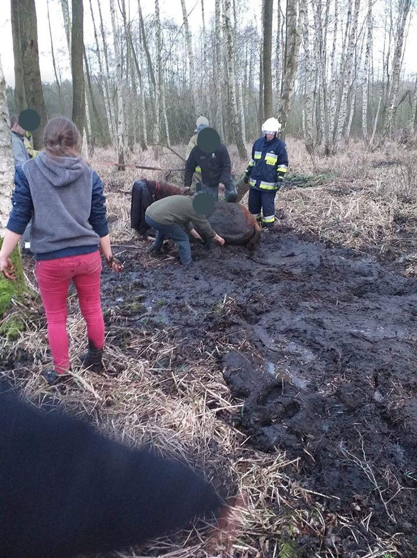 Dramatyczna akcja w miejscowości Jabłonna