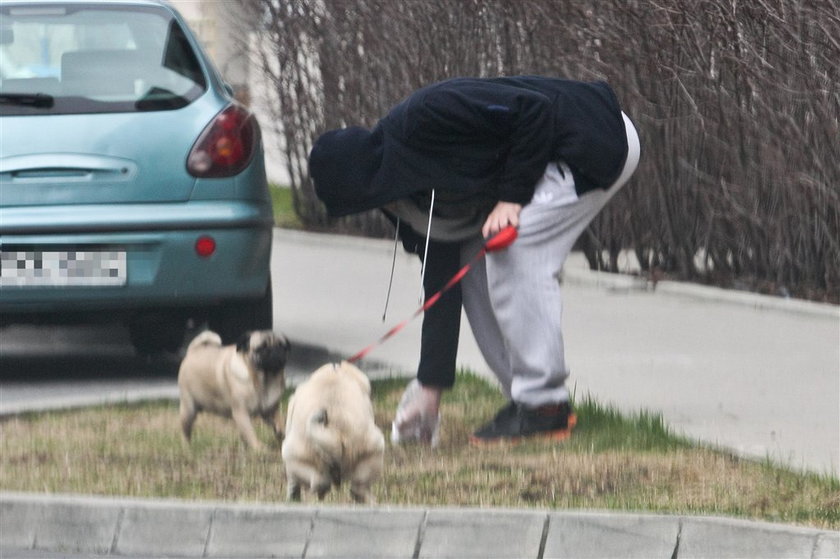 Polski aktor świeci przykładem i sprząta po psach. FOTO