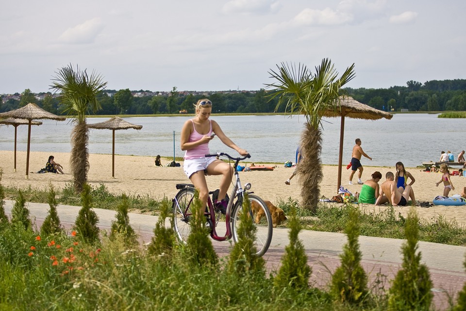 KRAŚNIK PLAŻA POD PALMAMI