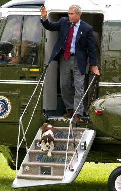 Wszystkie psy prezydenta / 19.jpg