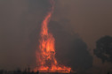 Tegoroczne pożary w Australii