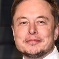 Musk nie żartował. Chce zbudować największą na świecie baterię litowo-jonową w 100 dni