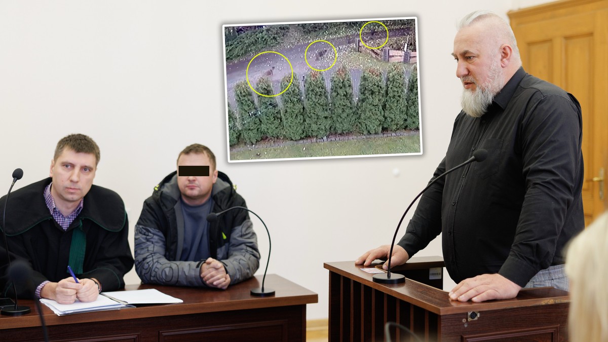 Wyrok za otrucie psów w Brennej. Stracili członka rodziny
