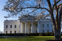 Długa telefoniczna rozmowa Trumpa z Putinem. Głównym tematem wojna na Ukrainie