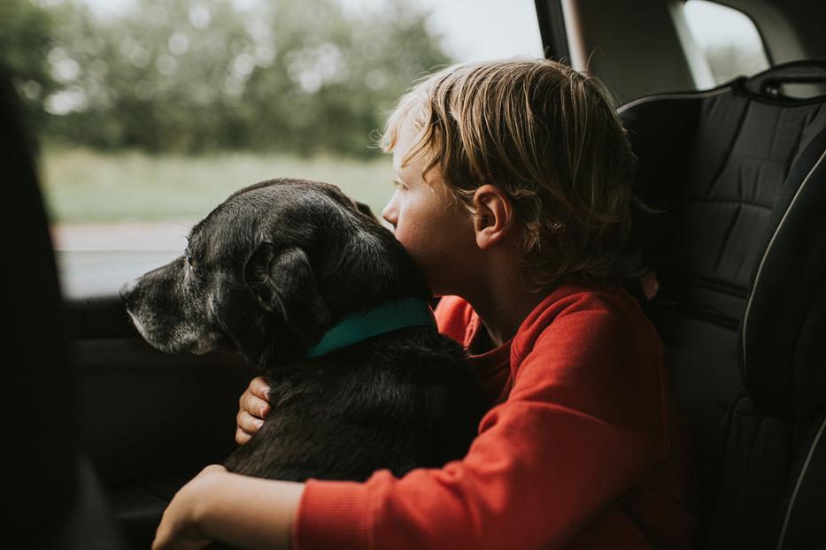 A szabály egyszerű: soha ne hagyjuk egyedül gyermekeinket, kisállatainkat a forró autóban! Fotó: Getty Images