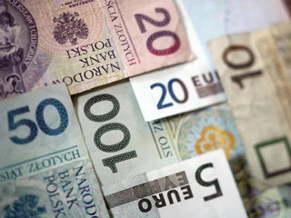 Euro złotówka