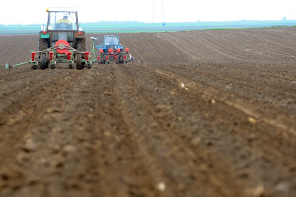 Srbija i Alžir potpisali 5 dokumenata u oblasti poreskog prava, poljoprivrede, turizma i telekomunikacija
