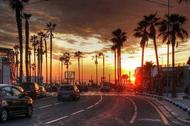 Casablanca Maroko zachód słońca palmy plaża słońce