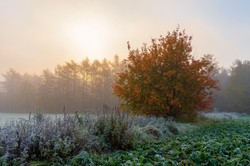 Arktyczne powietrze, silny wiatr i burze. IMGW ostrzega przed zmianą pogody [PROGNOZA NA WEEKEND]