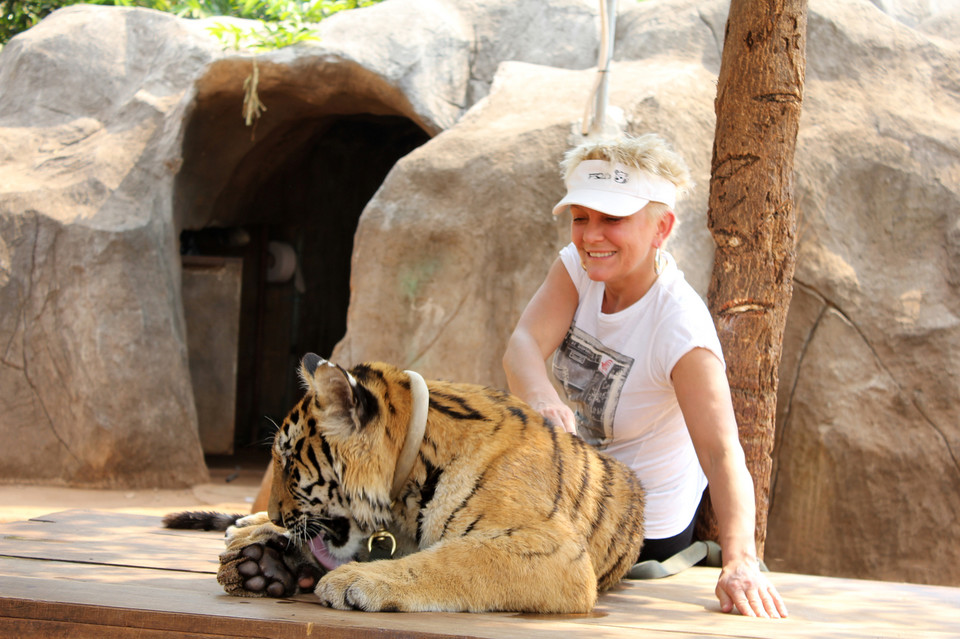 Małgorzata Ostrowska w Tajlandii - sanktuarium tygrysów (2013 r.)