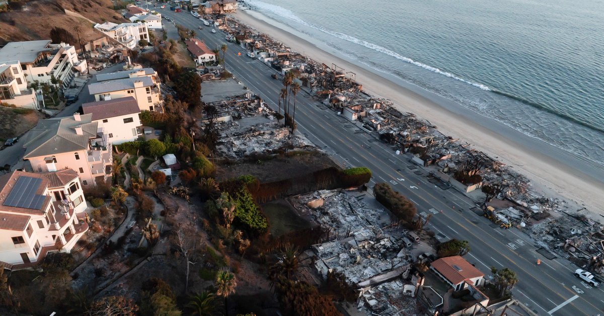 Polka straciła dom w pożarze w Los Angeles: dorobek życia amber