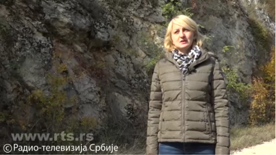 Kustos Bojana Ilijić