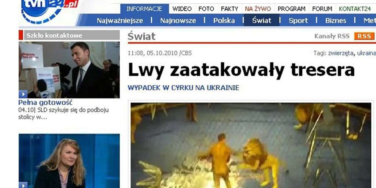 Lwy zaatakowały tresera. Wideo