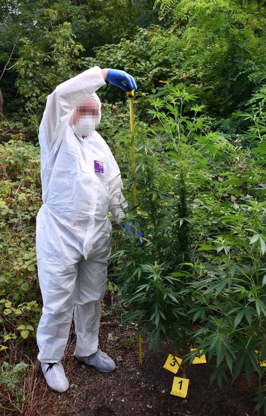 Narkotici pronađeni u Boru