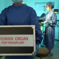 Új remény a vesebetegeknek: magyar kutatók fejlesztése hozhat áttörést