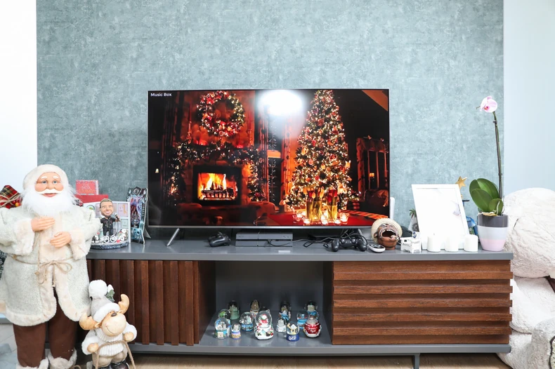 U domu Vladana Savića