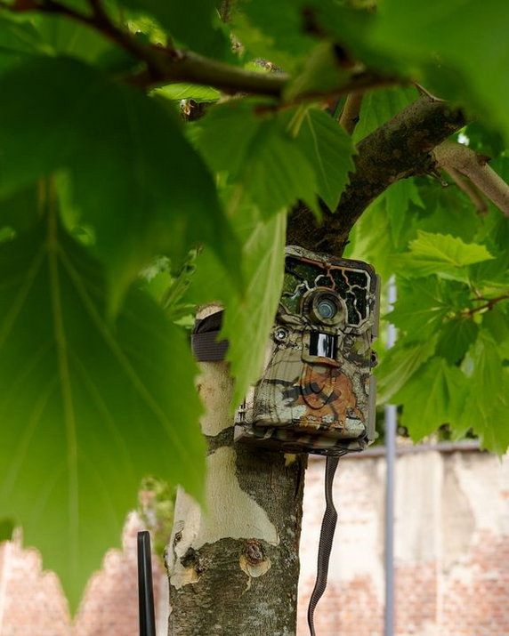 Łódź: kilkadziesiąt nowych fotopułapek w walce z dzikimi wysypiskami śmieci