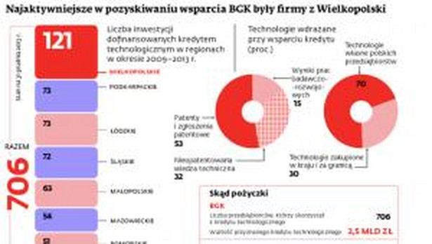 Najaktywniejsze w pozyskiwaniu wsparcia BGK były firmy z Wielkopolski