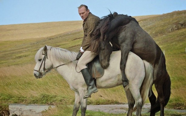 "O koniach i ludziach": Film prawdziwy na niby