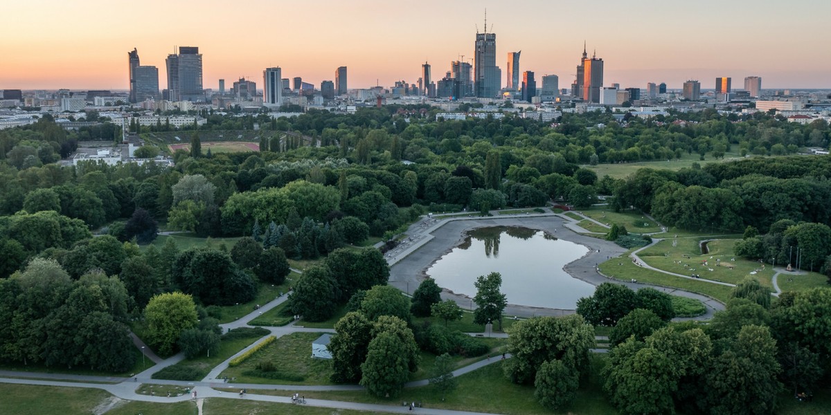 Według szacunków dra Zbigniewa Szkopa z UW drzewa rosnące w Warszawie przy ulicach, oczyszczając powietrze, generują korzyści o wartości około 1,8 mln zł rocznie.