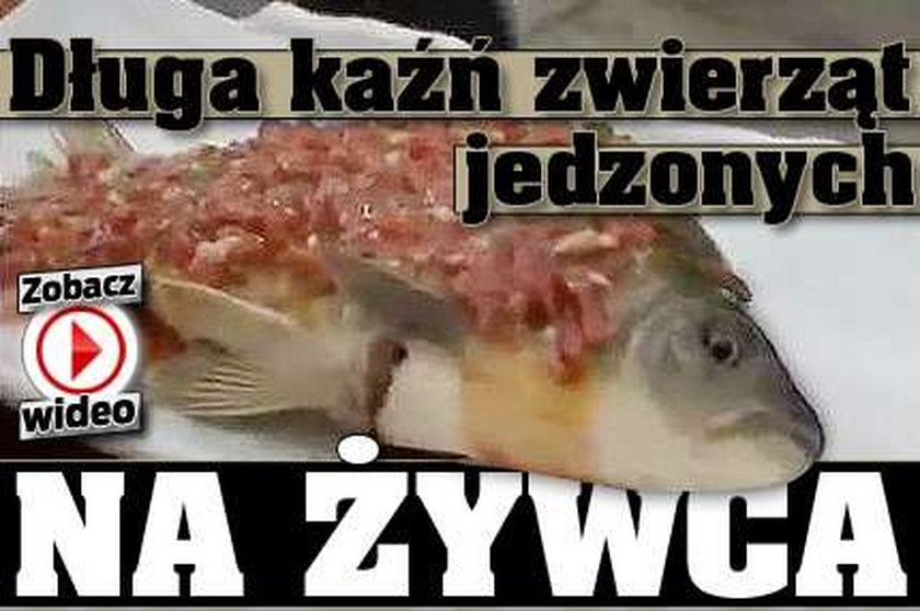 Długa kaźń zwierząt jedzonych na żywca