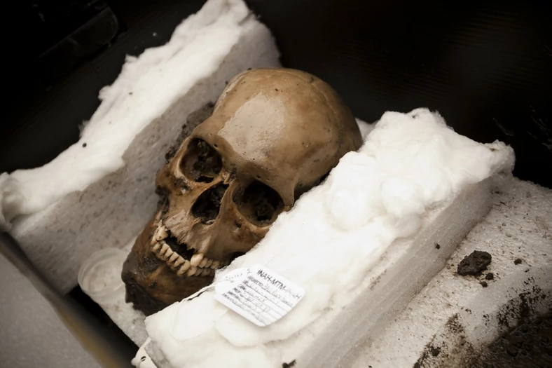 Ludzkie czaszki znalezione na terenach cywilizacji Azteków
