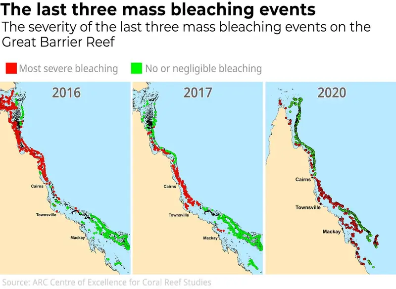 Proces blaknięcia australijskiej rafy koralowej na przestrzeni lat, fot. https://www.coralcoe.org.au/