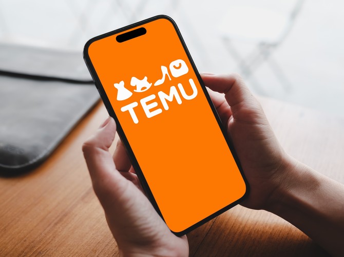 Temu iskustva Srba u 2024. godini